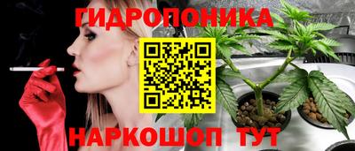 молекула духа Ивантеевка