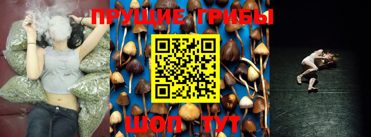 Артёмовский  Галлюциногенные грибы MAGIC MUSHROOMS  Вход с VPN 