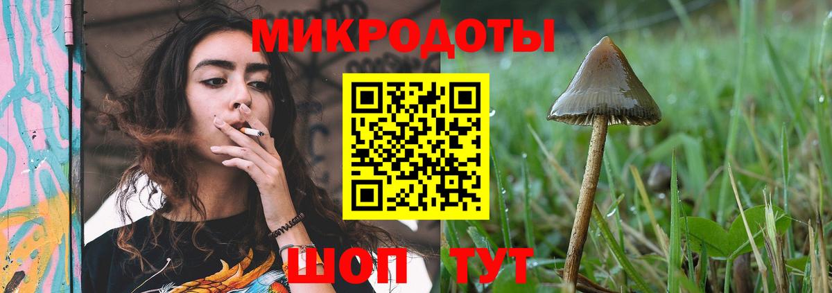Псилоцибиновые грибы GOLDEN TEACHER Артёмовский