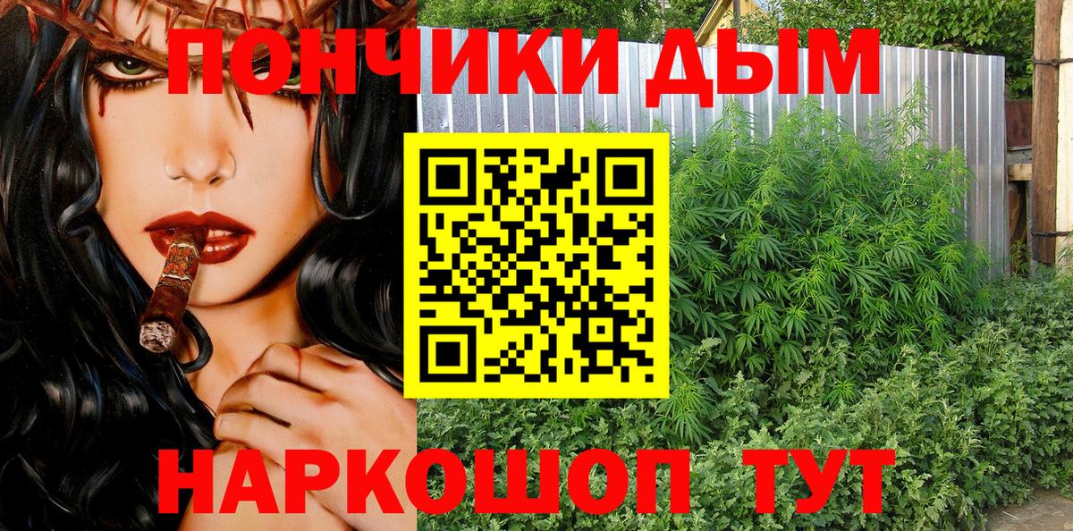 Канабис сатива Артёмовский